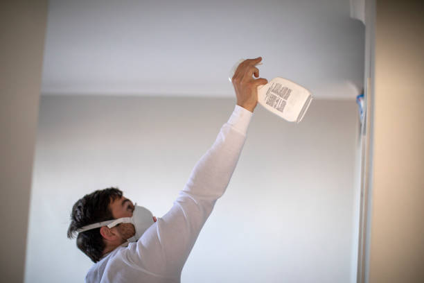 Best Mold Removal Company Near Me  in Charenton, LA