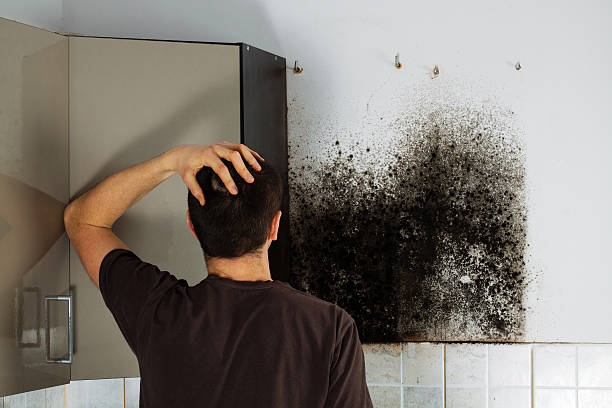 Best Crawl Space Mold Removal  in Charenton, LA